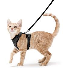 Cat Body Harness and Leash